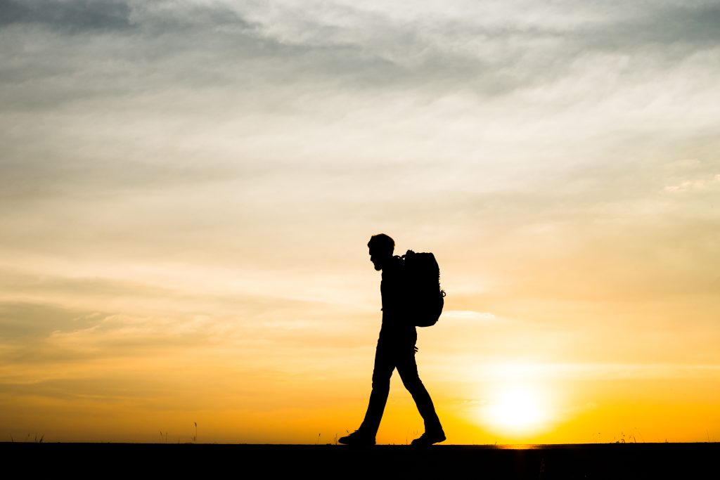 Travel2Career - Ins Ausland mit K+W